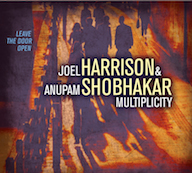 Review: Joel Harrison & Anupam Shobhakar Multiplicity - Leave The Door Open